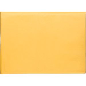 Bubble Shipping Mailer